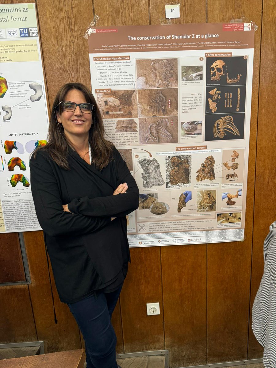 The conservation of Shanidar Z at a glance - Póster sobre la restauración de Shanidar Z presentado en #ESHE2024 <a href="/iphes/">IPHES-CERCA</a>