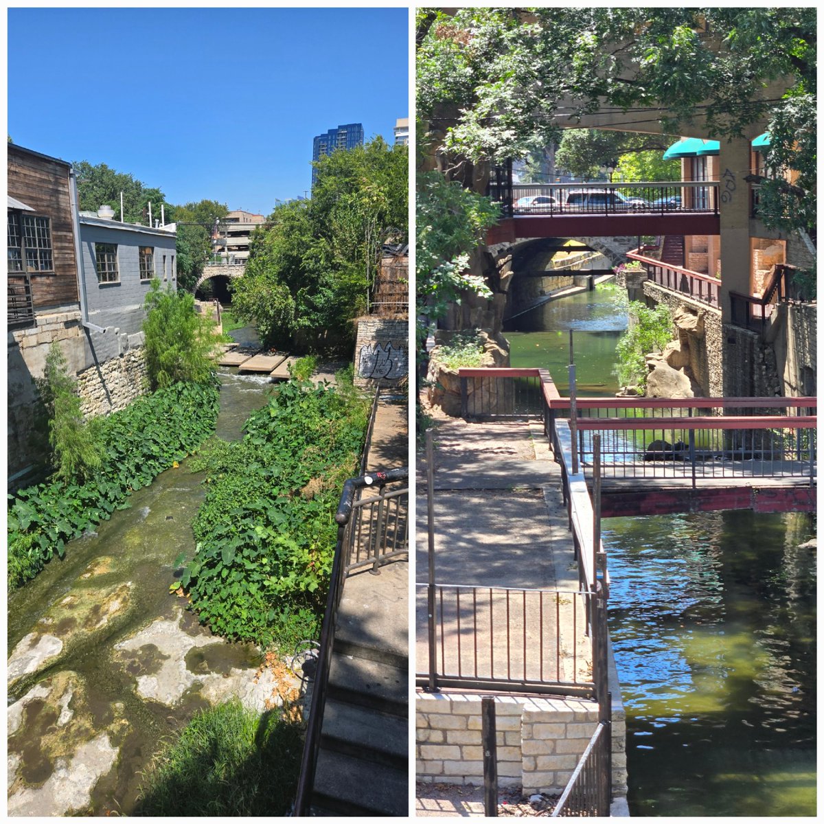 Avery Tomasco tweet media