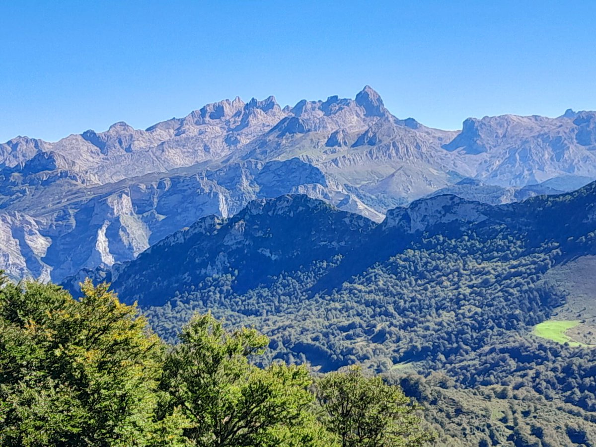 DavidAlonsoMed's tweet image. Queda inaugurado oficialmente el Grupo de Montaña⛰️ &quot;Los Fugaos&quot;😄
Hoy nos fuimos a les maravilles de #Ponga, al Collau Zorru.
Un espectáculo🩶💚💙
Como la compañía 😍 y la grandeza semántica de @gerclouds , @chuelia , @rubenfernandeza , @RTorre  y Laura.
Hasta la siguiente!😘