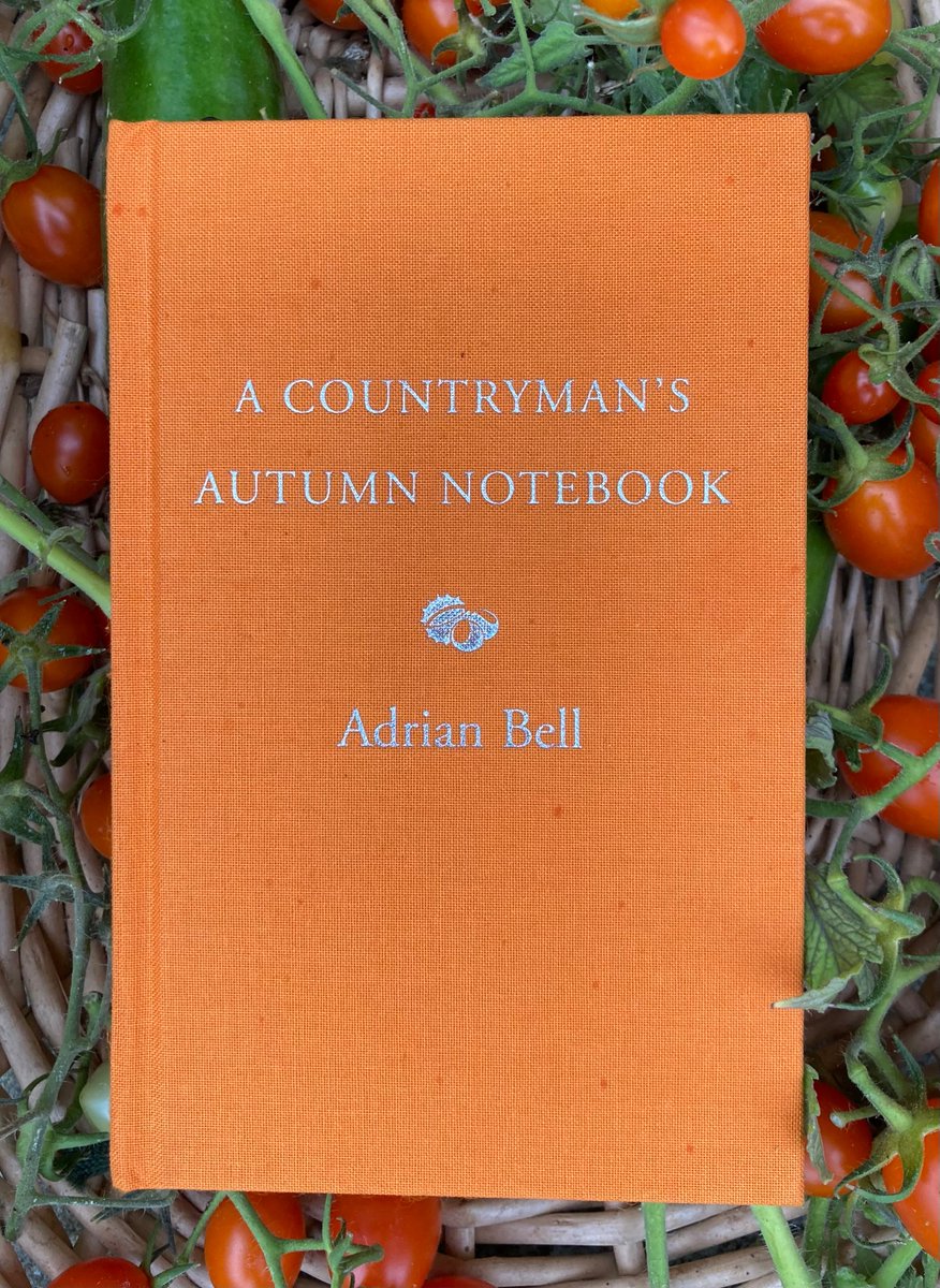 Richard Hawking (@the_fields_edge) on Twitter photo Published today! The final volume of Adrian Bell’s A Countryman Notebook Quartet marks the end of a 5 year project in which I’ve had the pleasure to work with <a href="/foxedquarterly/">Slightly Foxed | Magazine, Small Press, Podcast</a> to bring these beautiful essays-hidden away in the archives of the Eastern Daily Press-to a new audience. Published today! The final volume of Adrian Bell’s A Countryman Notebook Quartet marks the end of a 5 year project in which I’ve had the pleasure to work with <a href="/foxedquarterly/">Slightly Foxed | Magazine, Small Press, Podcast</a> to bring these beautiful essays-hidden away in the archives of the Eastern Daily Press-to a new audience.