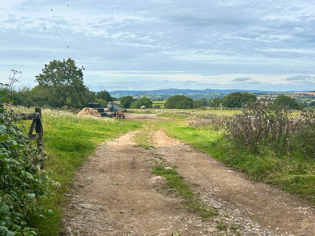 A distant Hay Tor on the Dartmoor skyline. Photographed from the Mare and Foal Sanctuary near Totnes, Devon today.