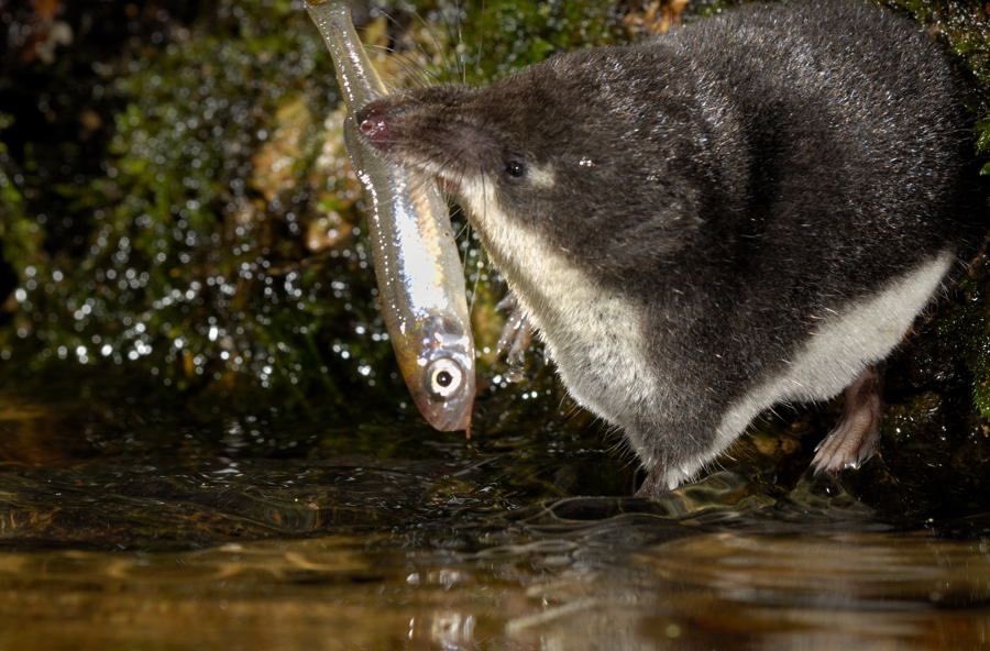 hope hopes hoping tweet media