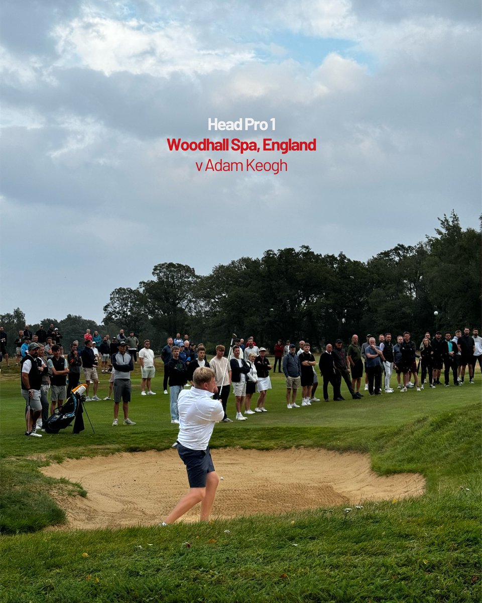 Peter Finch tweet media