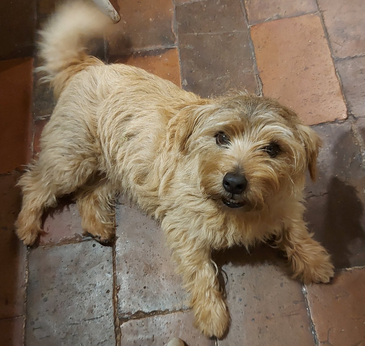 James Wright tweet media