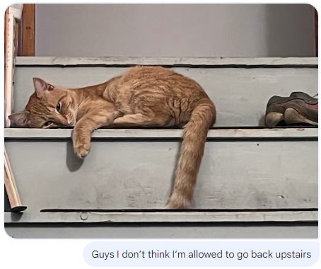 bml 🧀 (Brendan Luchen) tweet media