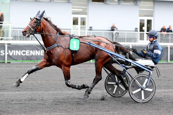 📌 GANGSTER DU WALLON 🏆🏆
2 victoires pour ses rejetons dans le WE
Leader des Apres à Thouars &amp; le très prometteur Loustic Delauriere à Niort 📋