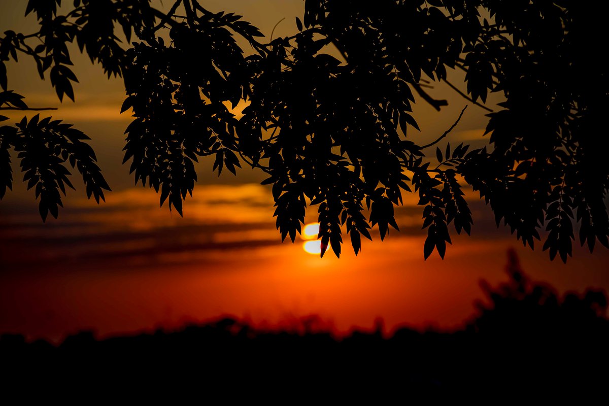 mugishadan171's tweet photo. Some beautiful sunsets 🖼️over Masoro Pitch
#sunset #photograghy 
#Aphoto_is_amemory📸 https://t.co/OTB8N8cdtA