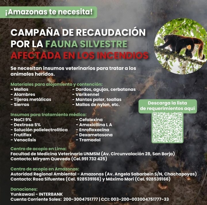 keybykook's tweet photo. Hola amig@s de Perú.  Por favor compartir para que pueda llegar a más personas 
#Amazonas #incendiosforestalesPerú #Animalessilvestres 
#Amazonasenemergencia https://t.co/R5PAdOtErm