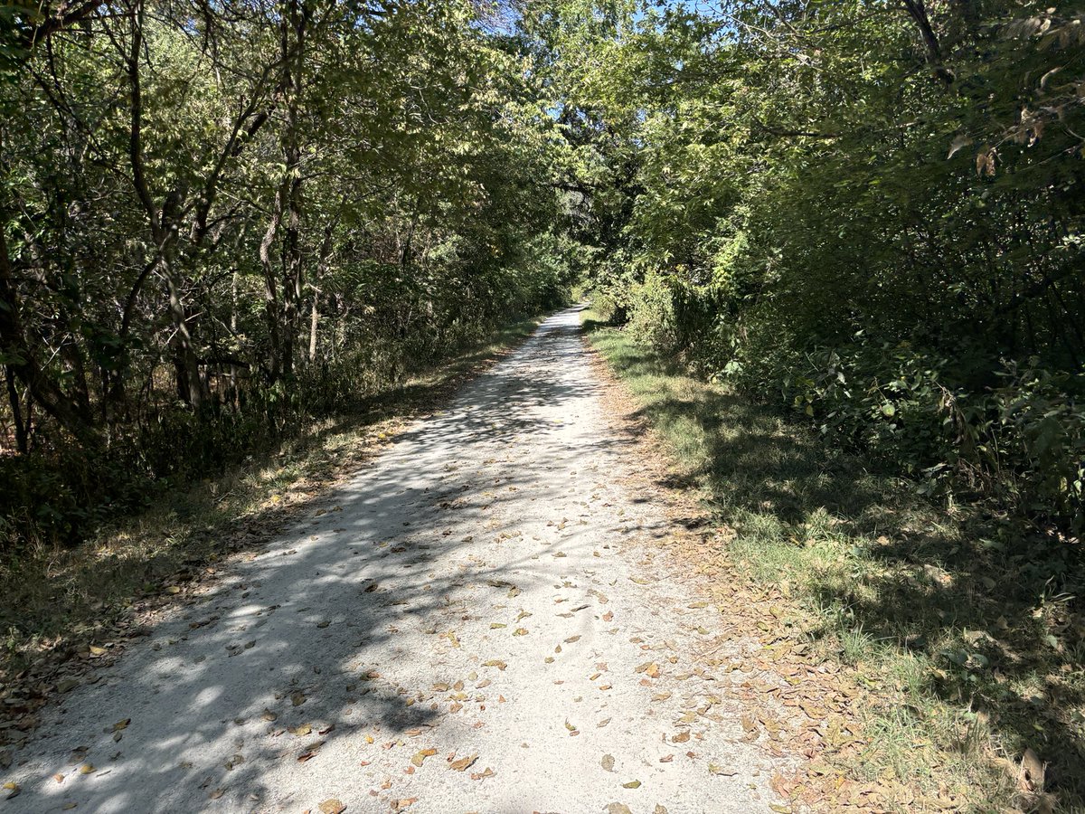 PunkyCovfefe's tweet image. In dappled light where whispers play,  
A winding path, my heart’s ballet,  
With every pedal, worries fade,  
In leafy shade, my spirit&apos;s made.
#RailsToTrails #CyclingAdventures