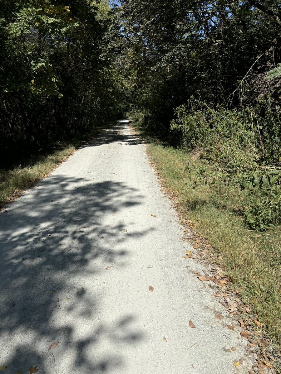 PunkyCovfefe's tweet image. In dappled light where whispers play,  
A winding path, my heart’s ballet,  
With every pedal, worries fade,  
In leafy shade, my spirit&apos;s made.
#RailsToTrails #CyclingAdventures