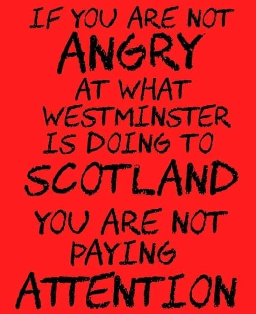 jimac111's tweet image. 