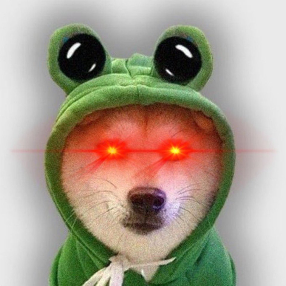 RoaringSchrotti tweet media