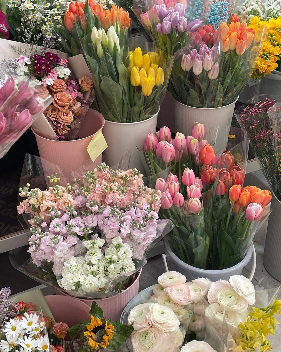 i3Moment's tweet image. 