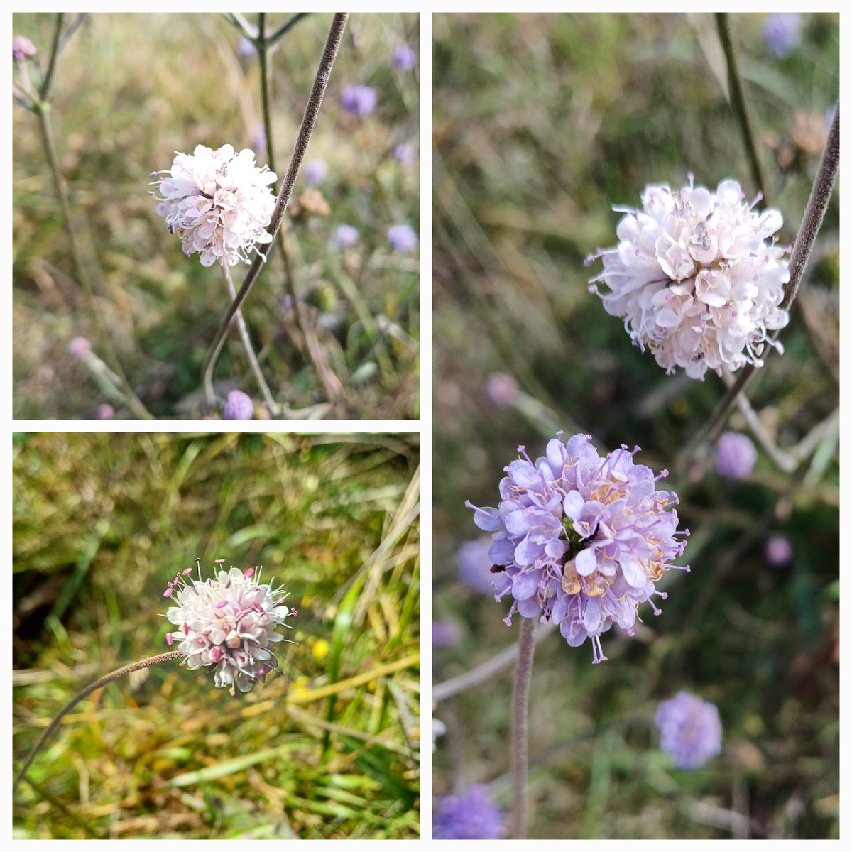 Clare Andrews tweet media