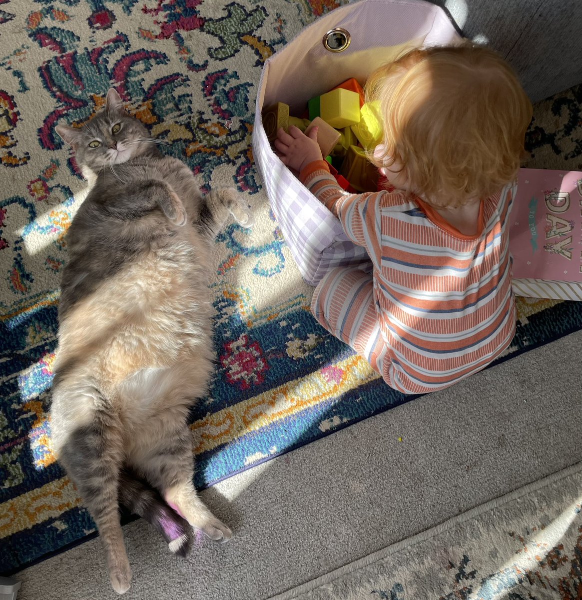 Babysitter caught sleeping on the job