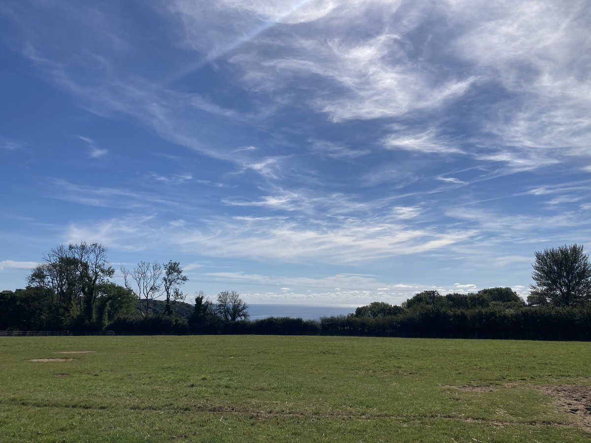 CDoyleMarketing's tweet image. Tourist in my own county this weekend 🌊💙💚 @DonkeySanctuary @SeatonTramway #Devonisheaven #bornandbred