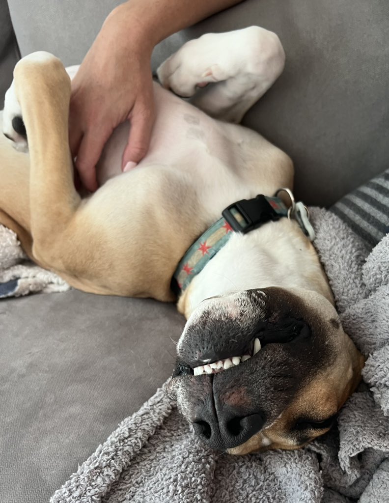 Sarah Spain tweet media