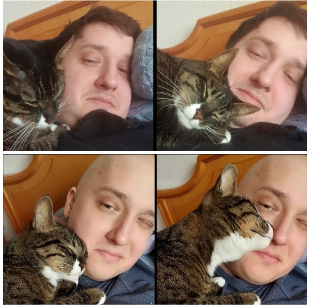 Our youngest cat Salem (3) just passed away today💔😔

Despite being heart broken I am super glad for all the time we had with him and that he helped us through some very rough times 😪