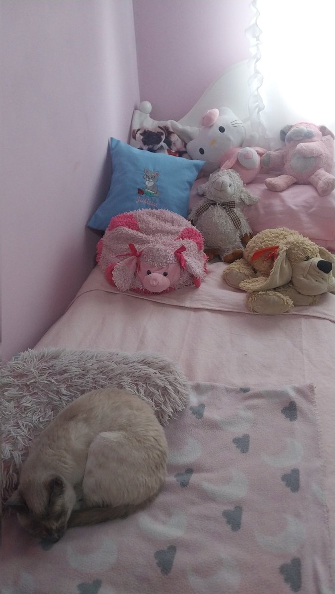 Hola si que opinan de mi cama