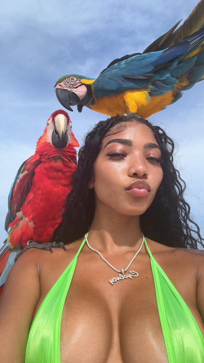 iBlameCydney's tweet photo. 🦜😘 https://t.co/eocZxwphiv