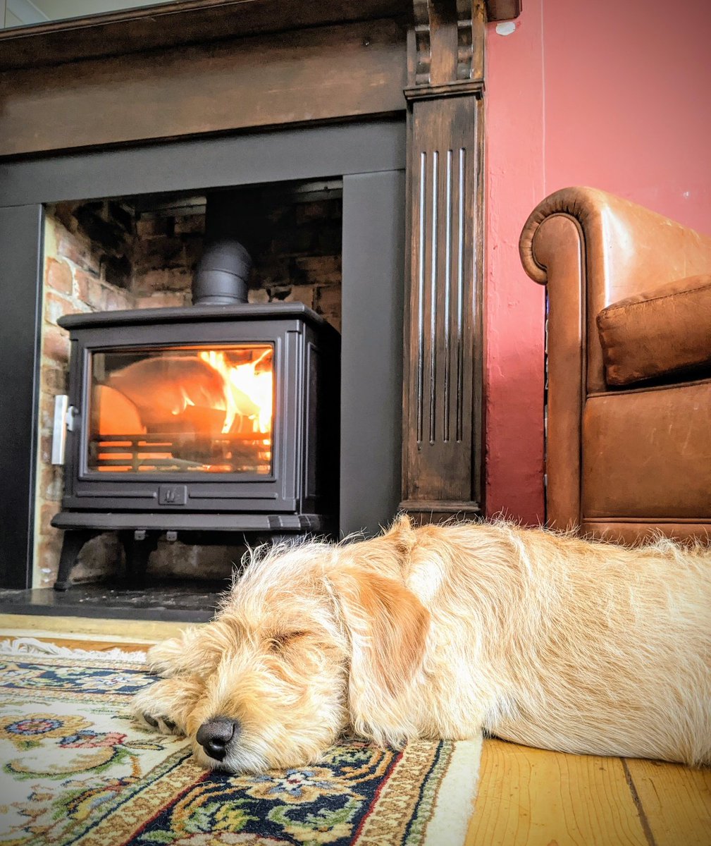 sidsome's tweet photo. @Admckdoc Snap! One of the best things about winter. Clearly the dog had missed it too! https://t.co/t1ipt97xmq