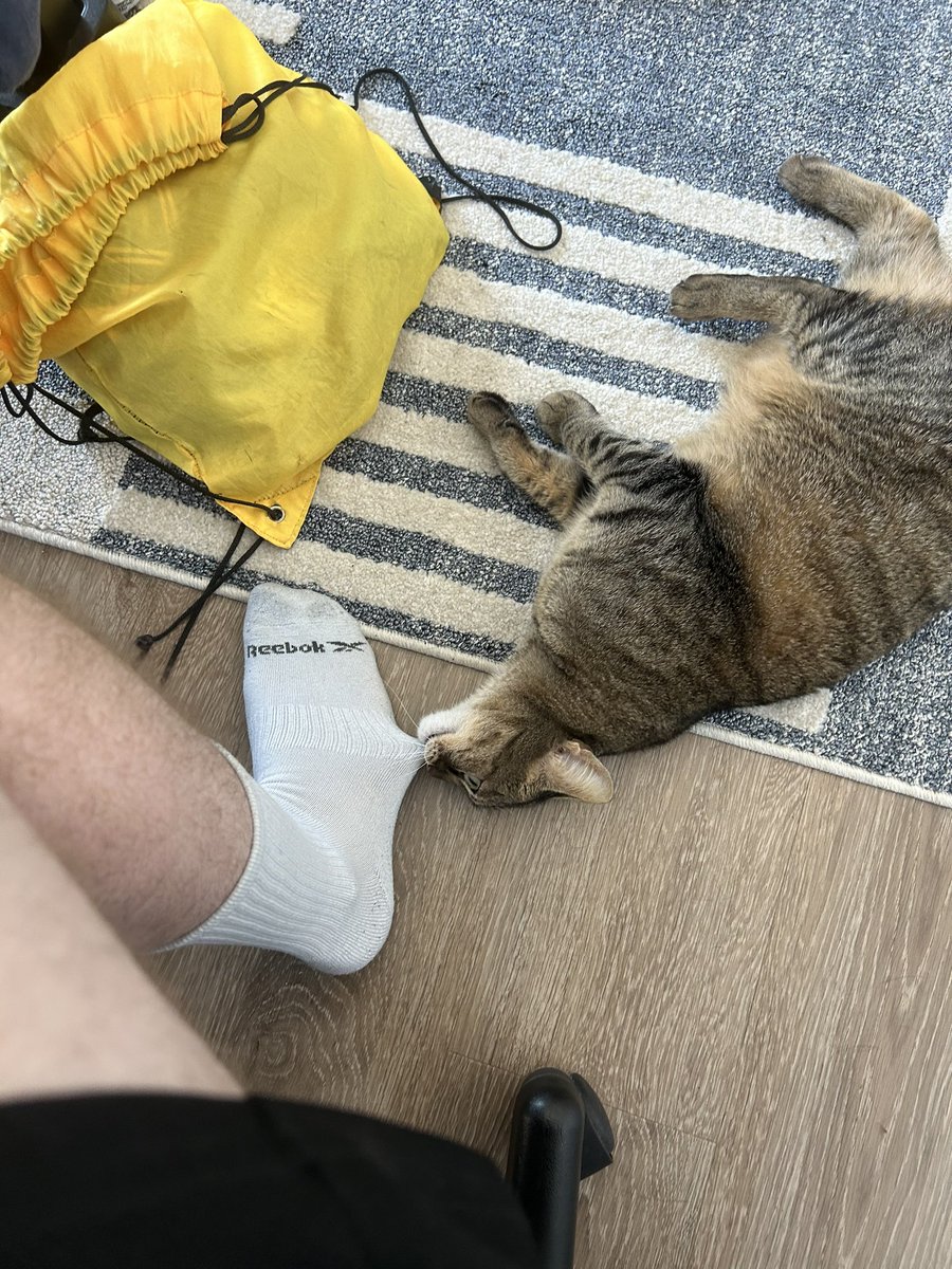 PicsofPedro's tweet photo. Pedro doesn’t like it when daddy goes out https://t.co/PXYSnkv1XM