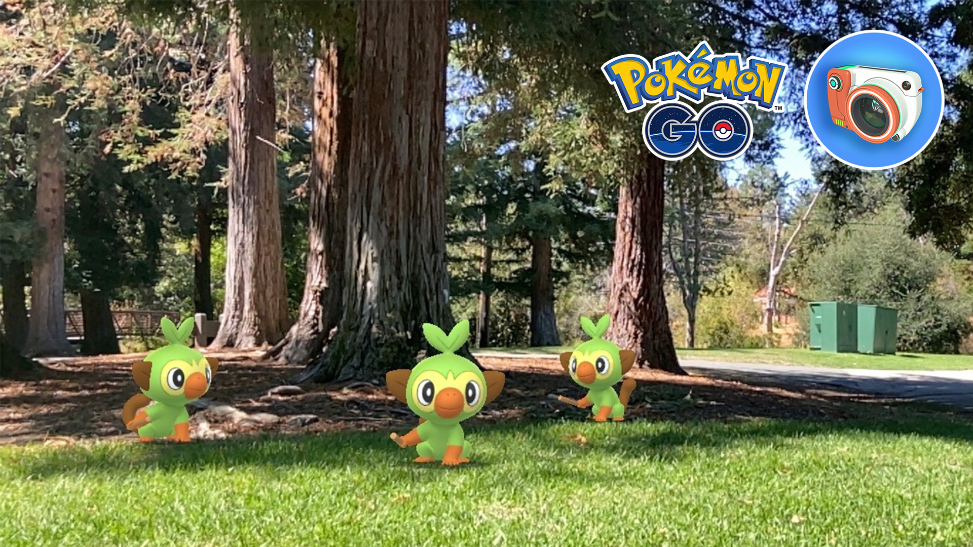 Pokémon GO on X: &ldquo;Have a favorite AR photo of Grookey? Don&rsquo;t 