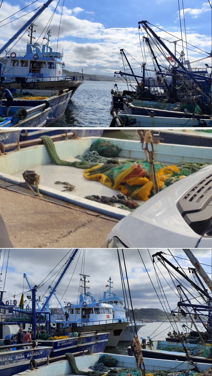 cengizeseese's tweet image. Balığı kayıktan mı alsak, yoksa dondurucudan mı alsak 🤗🤗🤗
Tabi ki kayıktan...
Bir deniz çocuğu olarak iyot kokulu bir günde sonbaharın en sevdiğim yanı olan balık aşkımı tazeledim.. 
#Şile
#Deniz
#Palamut
#Buğulama