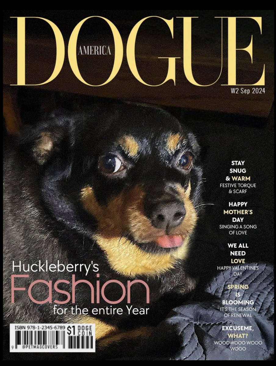 sarahanunn's tweet photo. Huck is a cover boy!
I’m so proud of him!
He is such a cutie mini-wolf pie… now if he just would stop shedding huge clumps of hair into my spaghetti….
🤣
Thanks @PetMagCovers
❤️
#CoverDog #Chipin #RescueDog #DogsOfTwitter #WeLoveTaylorSwift https://t.co/kjGVLIIB3a