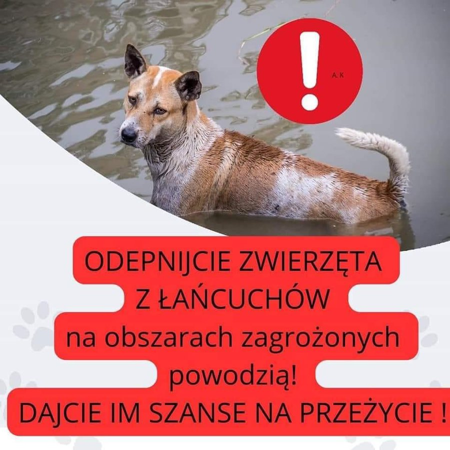 Proszę udostępniajcie ‼️