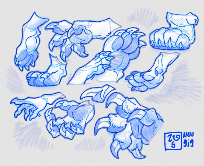 paws and claws and wings 