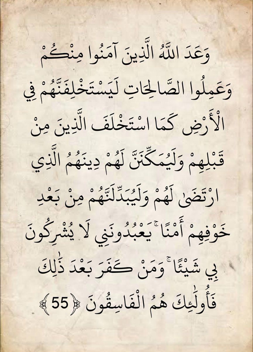 المُصْحَف tweet media