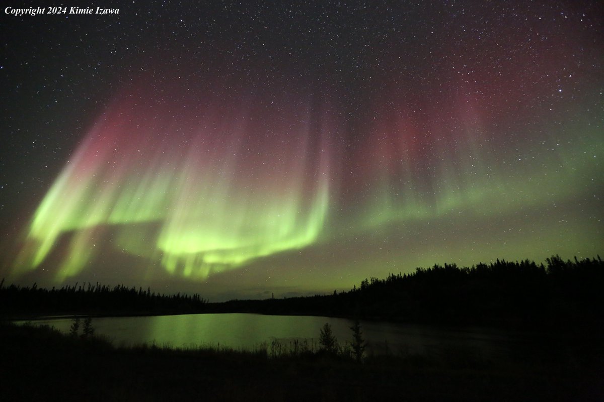 audrey19740719's tweet photo. #Aurora from #Ingrahamtrail #Yellowknife
Sep 12-13, 2024 Thu-Fri 10:00pm-1:30am +6℃ Clear
今週オーロラは絶好調です
#NWT #ExploreNWT #SpectacularNWT #northwestterritory #northernlight #AuroraBorealis
#イエローナイフ #ノースウェストテリトリー
#オーロラ #オーロラ姫 #秋オーロラ https://t.co/FoZwowiQRd