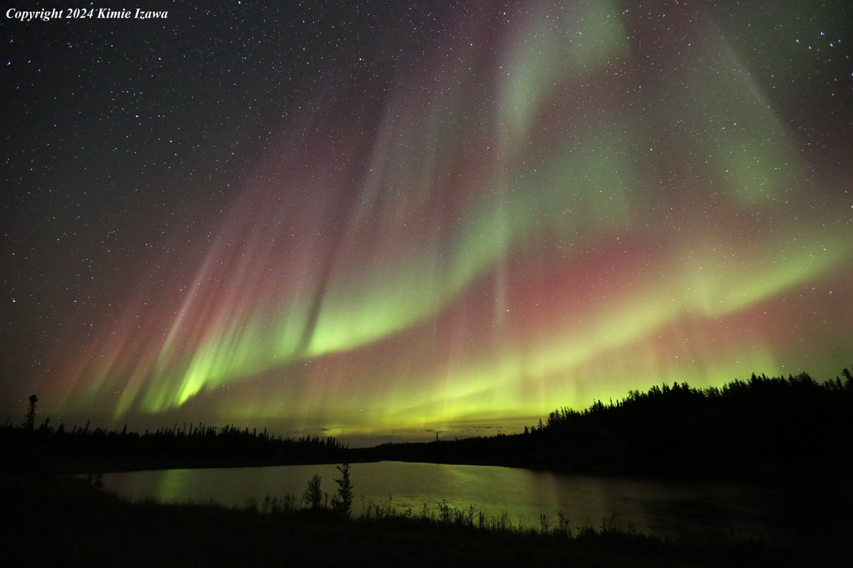 audrey19740719's tweet photo. #Aurora from #Ingrahamtrail #Yellowknife
Sep 12-13, 2024 Thu-Fri 10:00pm-1:30am +6℃ Clear
今週オーロラは絶好調です
#NWT #ExploreNWT #SpectacularNWT #northwestterritory #northernlight #AuroraBorealis
#イエローナイフ #ノースウェストテリトリー
#オーロラ #オーロラ姫 #秋オーロラ https://t.co/7cao6oFGS9