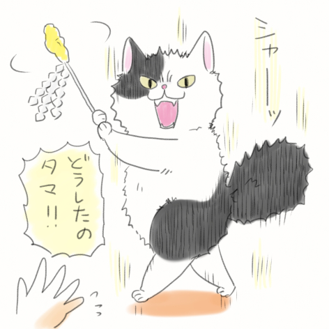 涼しくはあるけど湿気でむわ～ん…エアコンの除湿かけるか悩ましいところ…あと気圧のせいか私の頭もむわ～ん…昨日は勉強会で頭使ったので今日はお休みとするか!むわ～んも白黒に払って欲しいな! 