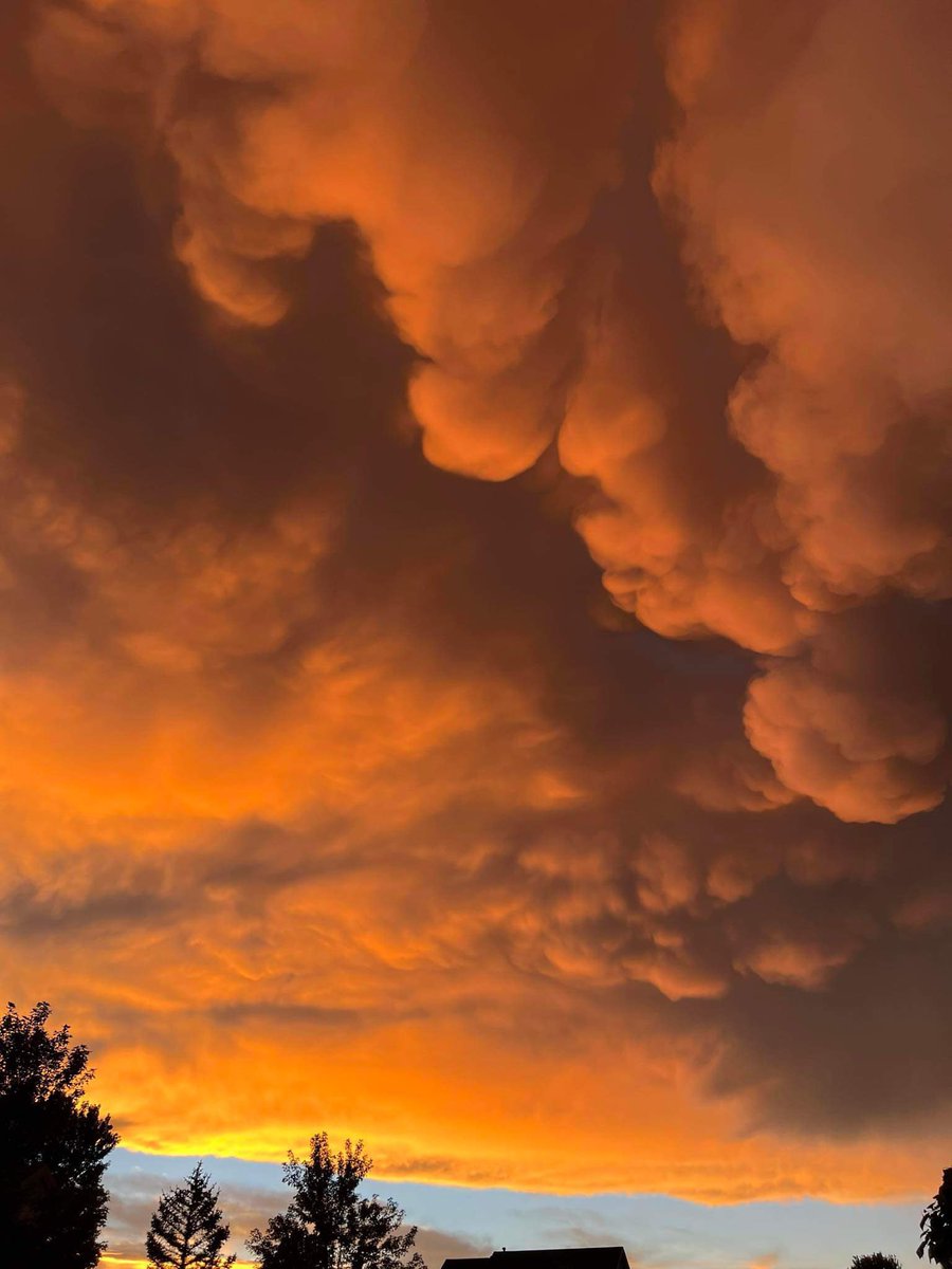 Kody Wilson tweet media