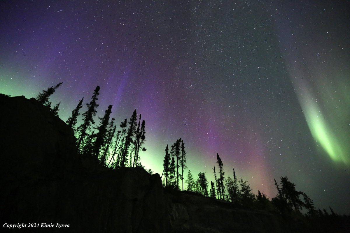 audrey19740719's tweet photo. #Aurora from #Ingrahamtrail #Yellowknife 
Sep 12-13, 2024 Thu-Fri 10:00pm-1:30am +6℃ Clear 
今週オーロラは絶好調です
#NWT #ExploreNWT #SpectacularNWT #northwestterritory #northernlight #AuroraBorealis 
#イエローナイフ #ノースウェストテリトリー 
#オーロラ #オーロラ姫 #秋オーロラ https://t.co/ZfqqhEp6we