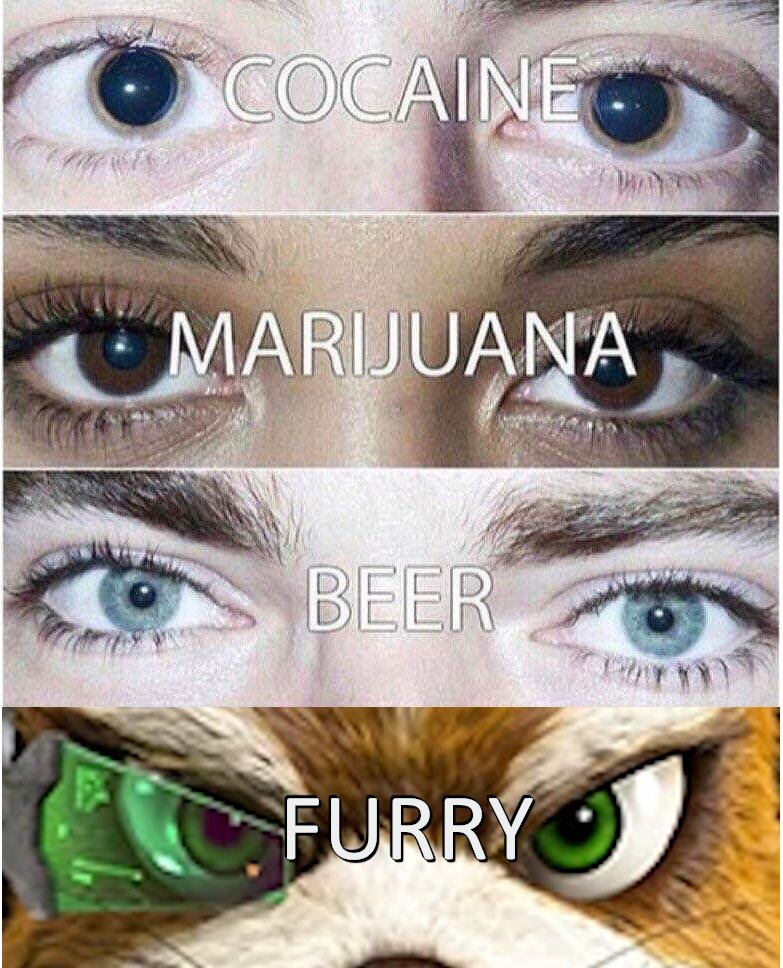 Gloupifox's tweet photo. https://t.co/lbEHNXKoQT