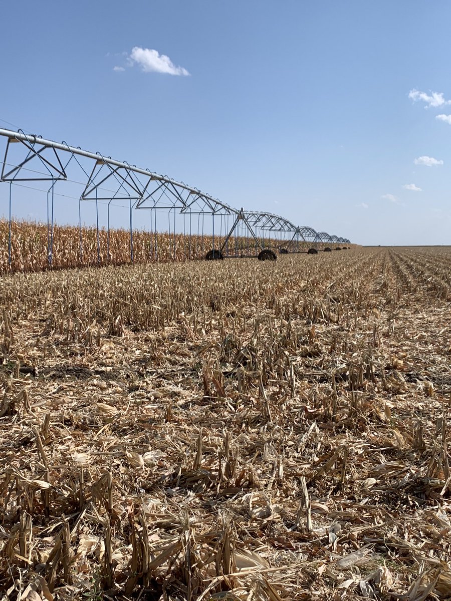 Jason Becker tweet media