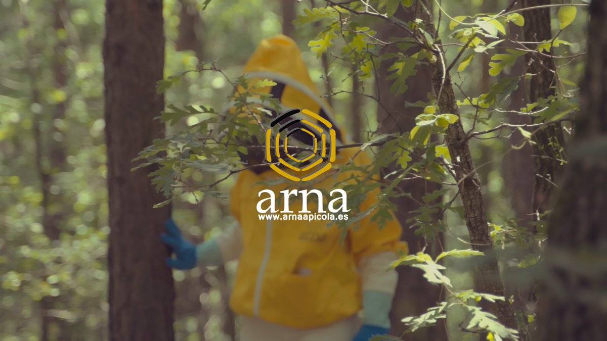 La Dulce Ruta de Aragón: Un Viaje entre Abejas, acmedia.es/project/la-dul… <a href="/IncoAgro/">IncoAgro</a>