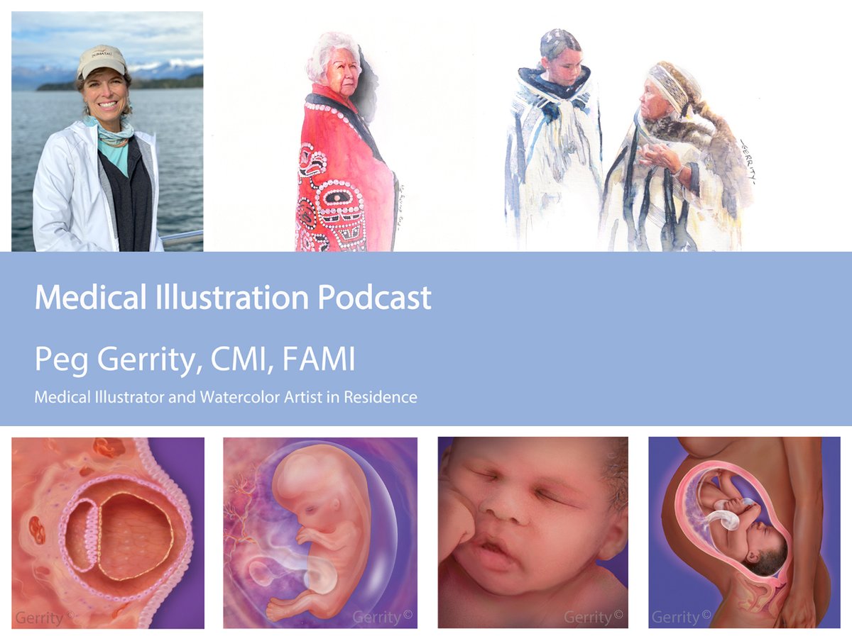 New interview on the Medical Illustration Podcast! 

Peg Gerrity has worked for over 30 years as a freelance medical illustrator, with a specialization in pregnancy and embryonic development. Check out the episode and show notes here: pkvisualization.com/post/medical-i…