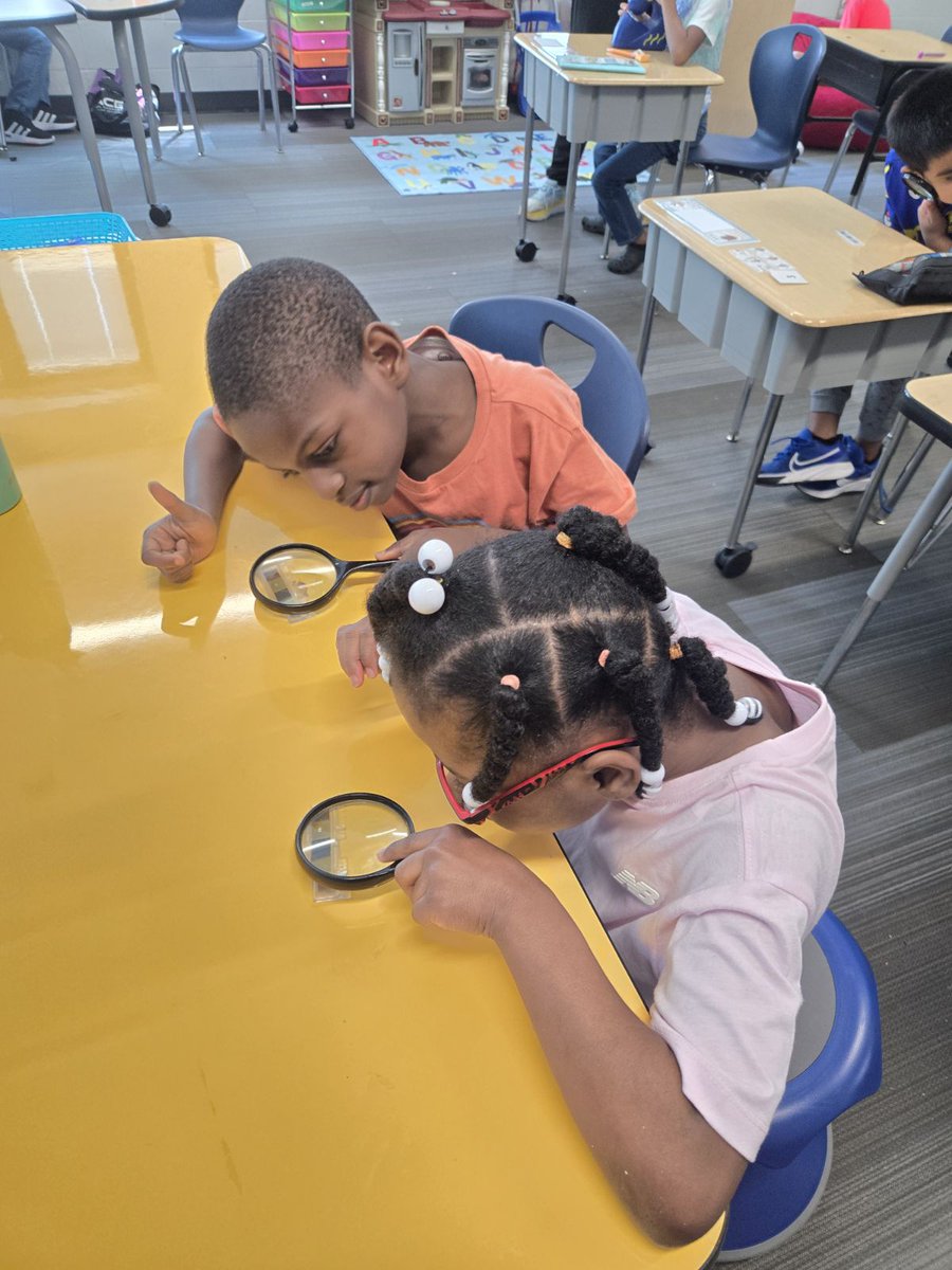 PREPRIDE's tweet image. These students have been learning about scientific observations.  During this activity, they used microscopes to observe items from nature.