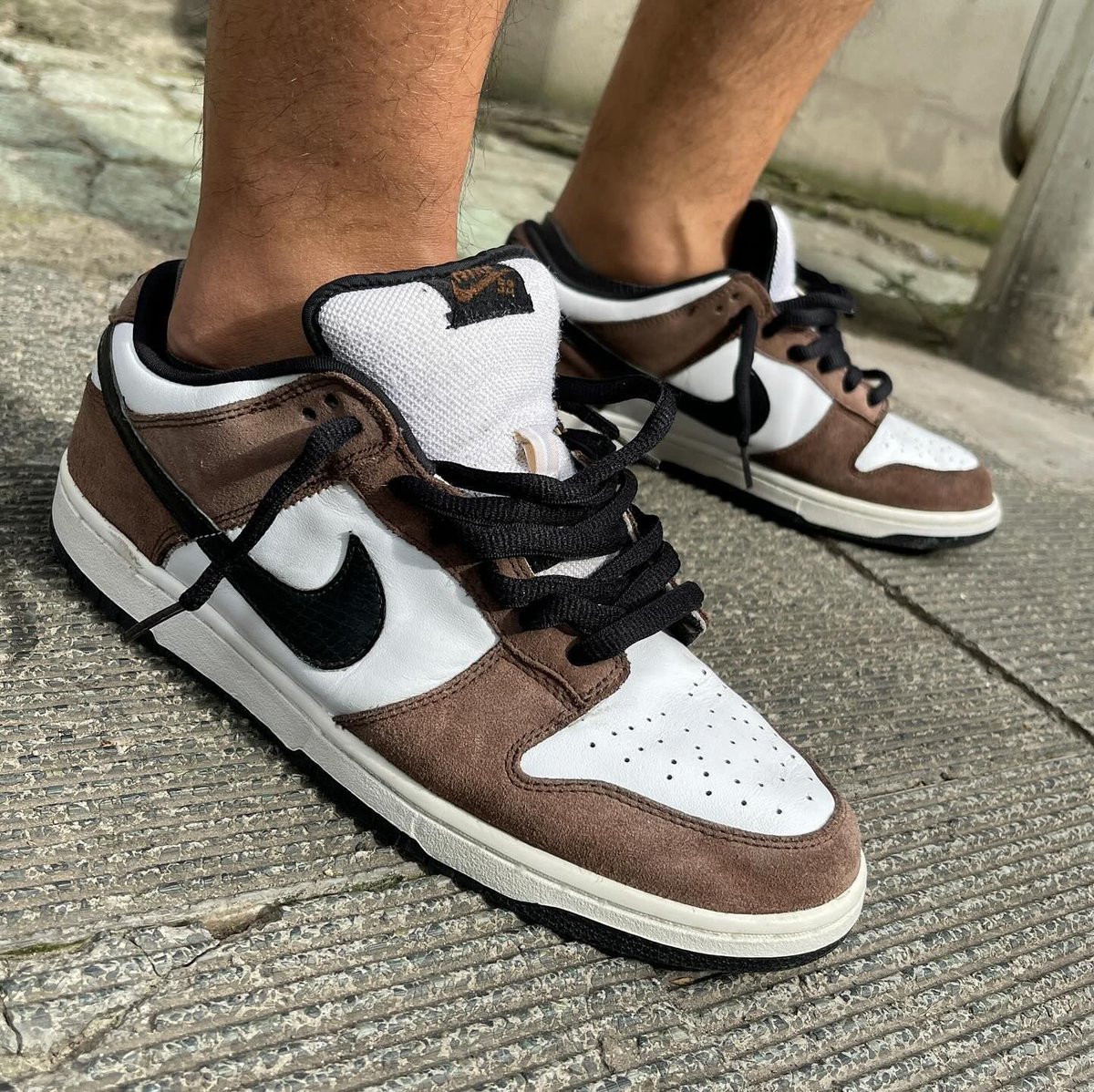 nike dunk sb trail end