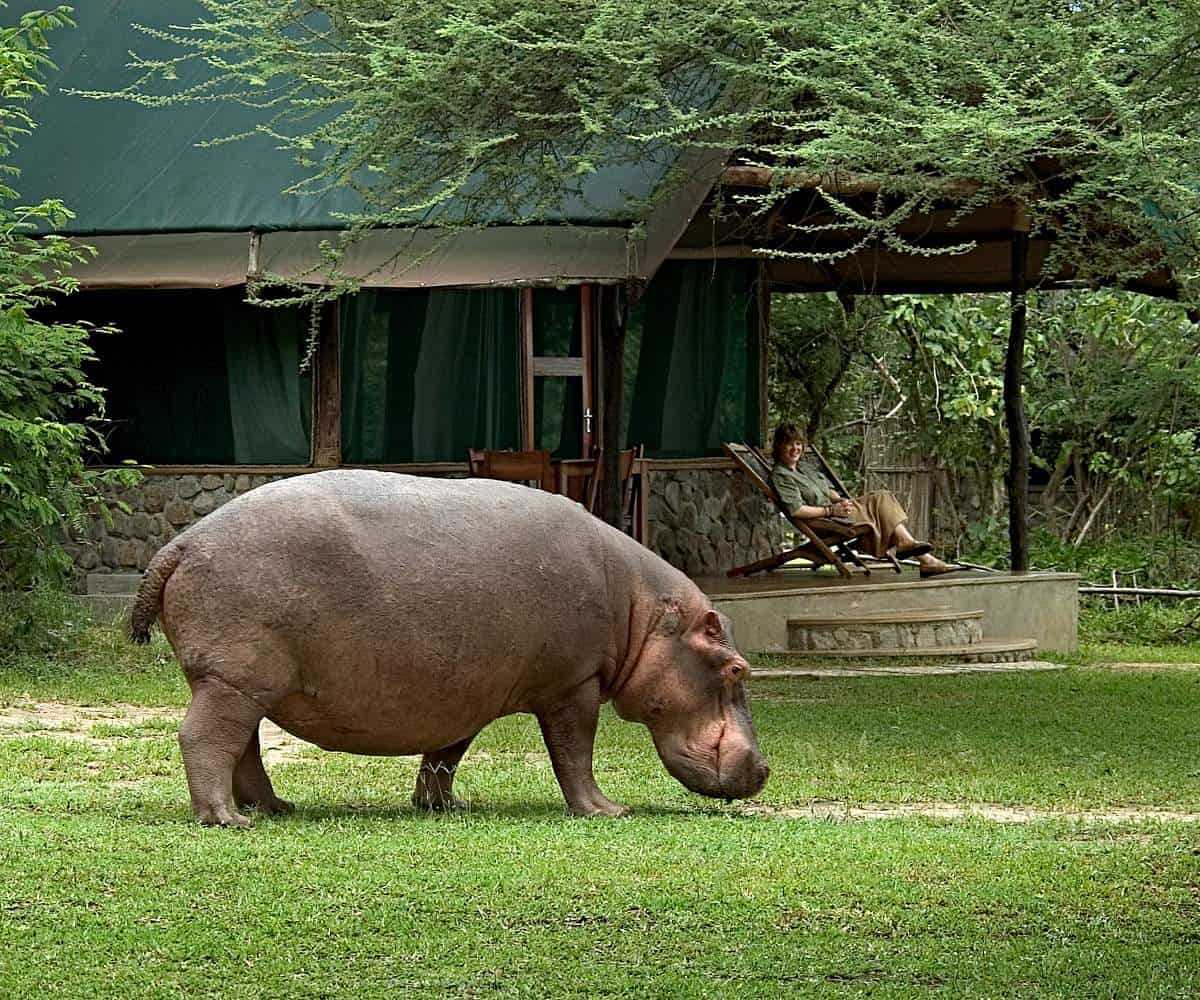 TSFraudSTOP's tweet photo. Lovely Liwonde – Malawi’s wildlife treasure https://t.co/b6CgLg4Rcj https://t.co/drD2mjPNlD