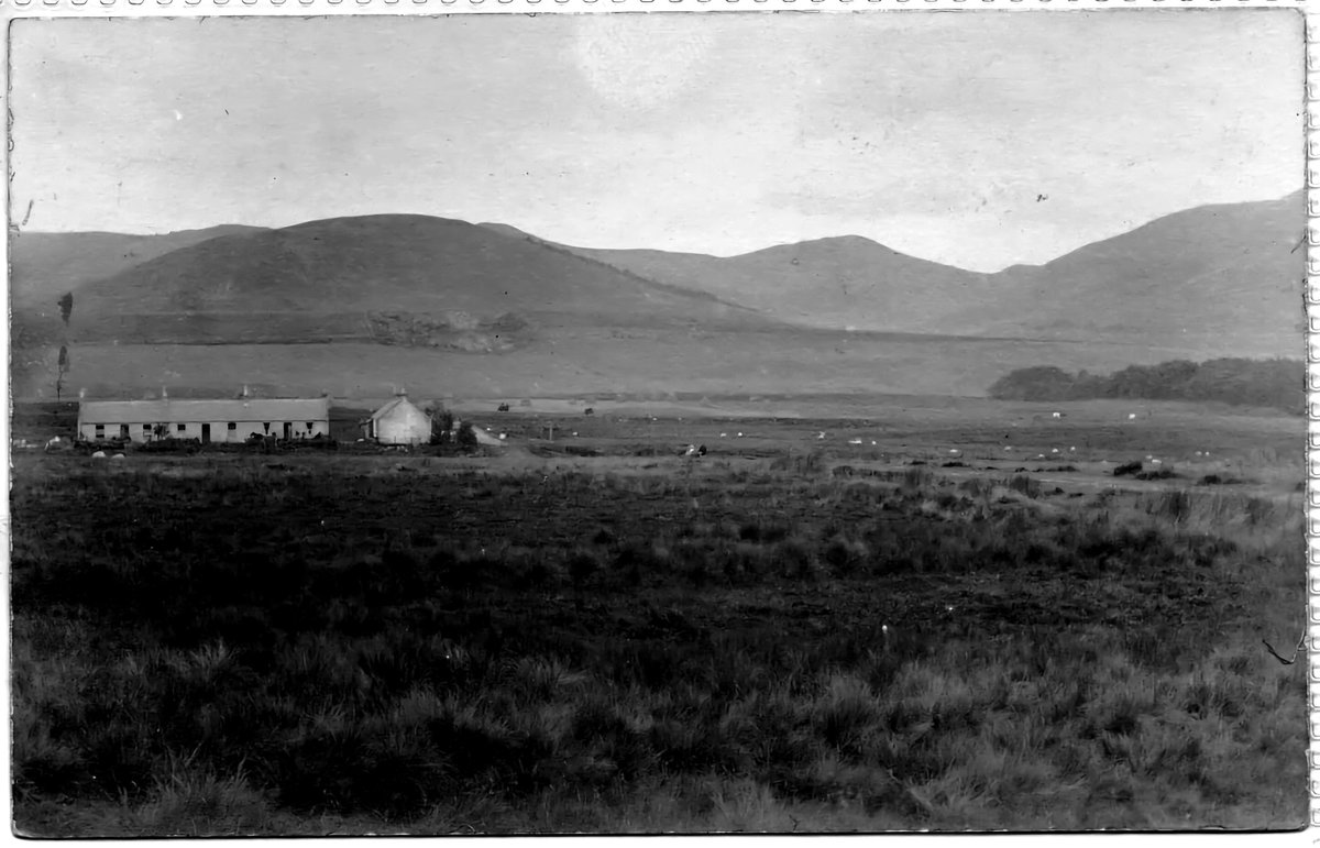 Old Weird Scotland tweet media