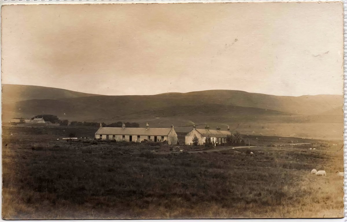 Old Weird Scotland tweet media