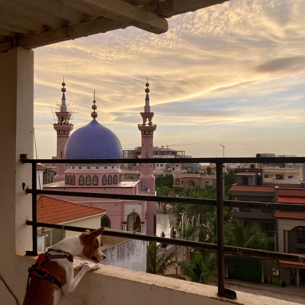 Rainy season sunsets 👌