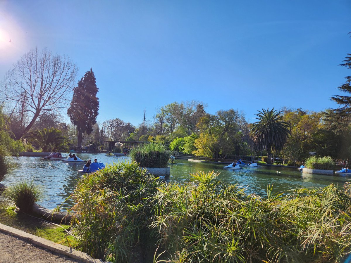 Que cosa más linda que es el Parque Quinta Normal en primavera