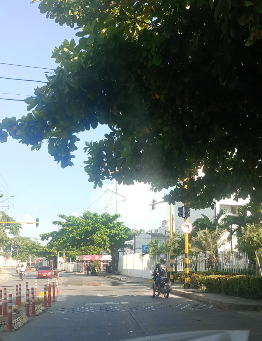 IvanRoyero's tweet photo. Buenas tardes @DATT_Cgena se debe buscar la forma de podar si afectar la sombra del semáforo entrada a Parque Heredia, cómo se observa en esta foto nula la visibilidad. https://t.co/XXn1VsiseC