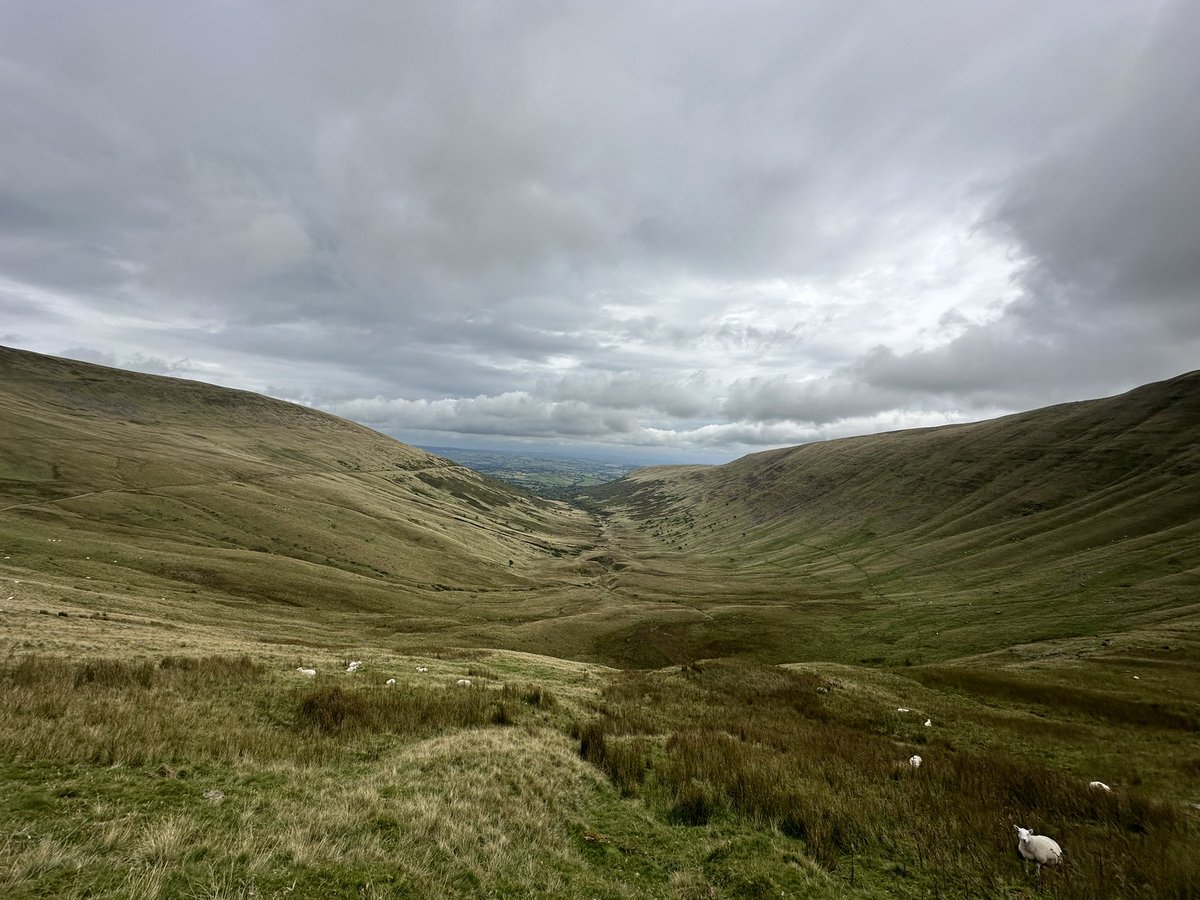 Tom Wilde tweet media